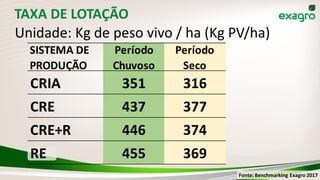 TAXA DE LOTAÇÃO
Unidade: Kg de peso vivo / ha (Kg PV/ha)
Fonte: Benchmarking Exagro 2017
SISTEMA DE
PRODUÇÃO
Período
Chuvoso
Período
Seco
CRIA 351 316
CRE 437 377
CRE+R 446 374
RE 455 369
 