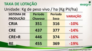 TAXA DE LOTAÇÃO
Unidade: Kg de peso vivo / ha (Kg PV/ha)
Fonte: Benchmarking Exagro 2017
SISTEMA DE
PRODUÇÃO
Período
Chuvoso
Período
Seco
VARIAÇÃO
CRIA 351 316 -10%
CRE 437 377 -14%
CRE+R 446 374 -16%
RE 455 369 -19%
 