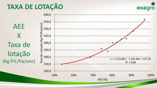 TAXA DE LOTAÇÃO
y = 1.272,86x2 - 1.201,84x + 527,54
R² = 0,98
200,0
250,0
300,0
350,0
400,0
450,0
500,0
550,0
600,0
50% 60% 70% 80% 90% 100%
TaxadeLotação(KgPV/ha/ano)
AEE (%)
AEE
X
Taxa de
lotação
(Kg P.V./ha/ano)
 