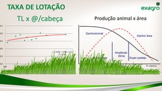 y = -0,00x2 + 0,00x + 4,11
R² = 0,34
3,0
3,5
4,0
4,5
5,0
5,5
200 300 400 500 600 700
Taxade lotação (Kg/ha/ano)
Ganho/animal
Ganho/ área
Sub pastejo Super pastejo
Amplitude
ótima
TL mínima TL ótima TL máxima
Fonte: Mott, 1969, modificado
Produção animal x área
TAXA DE LOTAÇÃO
TL x @/cabeça
 