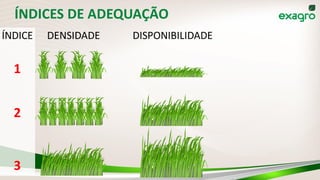 ÍNDICES DE ADEQUAÇÃO
DENSIDADE DISPONIBILIDADEÍNDICE
1
2
3
 