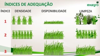 ÍNDICES DE ADEQUAÇÃO
DENSIDADE DISPONIBILIDADE LIMPEZAÍNDICE
1
2
3
 