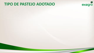 TIPO DE PASTEJO ADOTADO
 