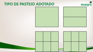 TIPO DE PASTEJO ADOTADO
 