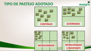 TIPO DE PASTEJO ADOTADO
CONTÍNUO ALTERNADO
ROTACIONADO ROTACIONADO
C/DESPONTE
 