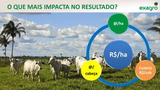 O QUE MAIS IMPACTA NO RESULTADO?
R$/ha
@/ha
Custeio
R$/cab
@/
cabeça
 