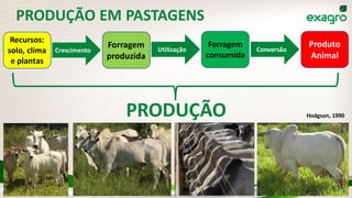 PRODUÇÃO EM PASTAGENS
Hodgson, 1990
Recursos:
solo, clima
e plantas
Forragem
produzida
Forragem
consumida
Produto
Animal
PRODUÇÃO
Crescimento Utilização Conversão
 