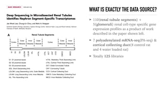 WHAT IS EXACTLY THE DATA SOURCE?
➤ 110(renal tubule segments) +
5(glomeruli) renal cell-type specific gene
expression profiles as a product of work
described in the paper shown left.
➤ 7 polyadenylated mRNA-seq(PA-seq) & 
cortical collecting duct(4 control rat
and 4 water loaded rat)
➤ Totally 125 libraries 
 