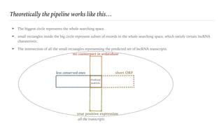 Theoretically the pipeline works like this…
➤ The biggest circle represents the whole searching space.
➤ small rectangles inside the big circle represent subset of records in the whole searching space, which satisfy certain lncRNA
charateristic.
➤ The intersection of all the small rectangles representing the predicted set of lncRNA transcripts.
all the transcripts
less conserved ones
no counterpart in nrdatabase
short ORF
true positive expression
Predicted 
lncRNAs
 