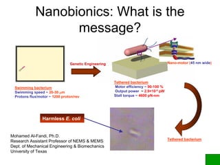 Nanobionics: What is the
message?
Tethered bacterium
Swimming bacterium
Swimming speed ~ 20-30 μm
Protons flux/motor ~ 1200 proton/rev
Tethered bacterium
Motor efficiency ~ 90-100 %
Output power ~ 2.9×10-4
pW
Stall torque ~ 4600 pN-nm
Nano-motor (45 nm wide)Genetic Engineering
Harmless E. coli
Mohamed Al-Fandi, Ph.D.
Research Assistant Professor of NEMS & MEMS
Dept. of Mechanical Engineering & Biomechanics
University of Texas
 