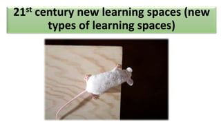 21st   century new learning spaces (new
         types of learning spaces)
 
