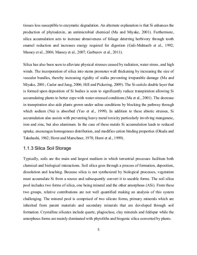 university of toronto masters thesis Composition and organization for thesis writing strategies thesis editing tips how theses get written: some cool tips (university of toronto). university of toronto masters thesis Composition and organization for thesis writing strategies thesis editing tips how theses get written: some cool tips (university of toronto).