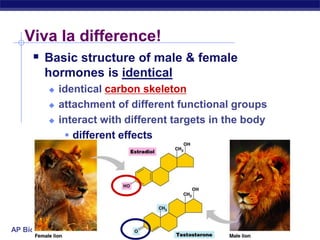 Viva la difference!Basic structure of male & female hormones is identicalidentical carbon skeletonattachment of different functional groupsinteract with different targets in the bodydifferent effects