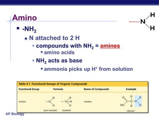 Amino-NH2N attached to 2 Hcompounds with NH2 = aminesamino acidsNH2 acts as baseammonia picks up H+ from solution