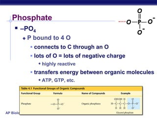 Phosphate –PO4P bound to 4 Oconnects to C through an Olots of O = lots of negative chargehighly reactivetransfers energy between organic molecules ATP, GTP, etc.