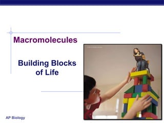 MacromoleculesBuilding Blocksof Life