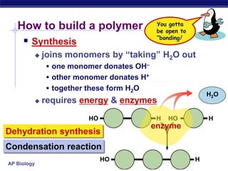 H2OHOHHHOenzymeHOH How to build a polymerYou gotta be open to“bonding!Synthesisjoins monomers by “taking” H2O outone monomer donates OH–other monomer donates H+together these form H2Orequires energy & enzymesDehydration synthesisCondensationreaction