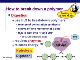 H2OHOHenzymeHHOHHOHow to break down a polymerBreaking upis hard to do!Digestionuse H2O to breakdown polymers reverse of dehydration synthesiscleave off one monomer at a timeH2O is split into H+ and OH–H+ & OH– attach to endsrequires enzymesreleases energyHydrolysisDigestion