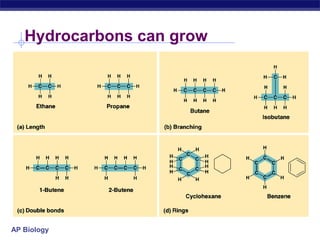 Hydrocarbons can grow