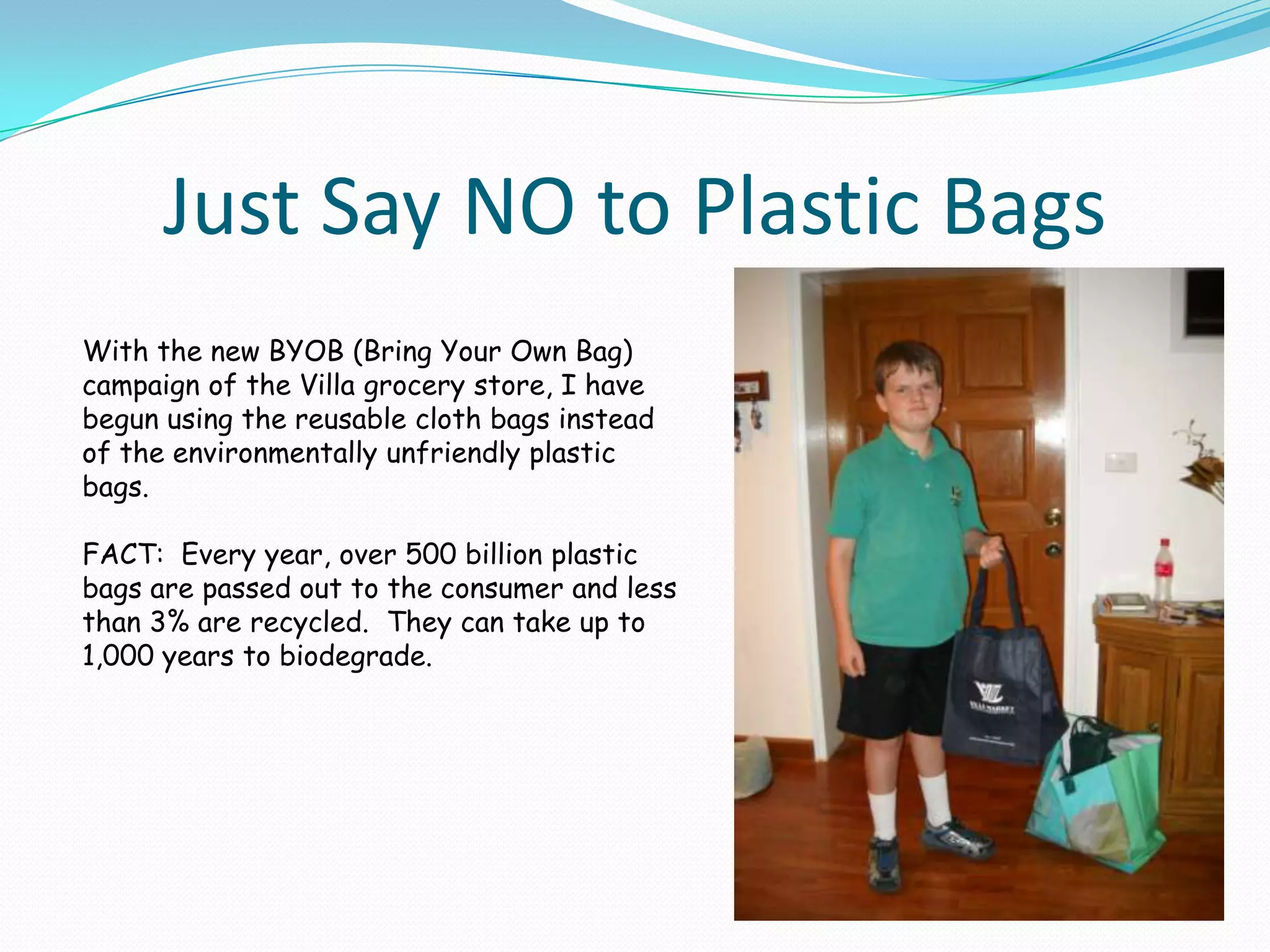 Just Say NO to Plastic BagsWith the new BYOB (Bring Your Own Bag) campaign of the Villa grocery store, I have begun using the reusable cloth bags instead of the environmentally unfriendly plastic bags.  FACT:  Every year, over 500 billion plastic bags are passed out to the consumer and less than 3% are recycled.  They can take up to 1,000 years to biodegrade.