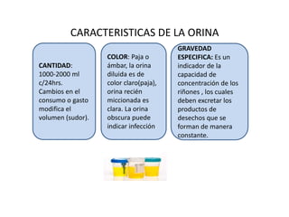 CARACTERISTICAS DE LA ORINA
CANTIDAD:
1000-2000 ml
c/24hrs.
Cambios en el
consumo o gasto
modifica el
volumen (sudor).
COLOR: Paja o
ámbar, la orina
diluida es de
color claro(paja),
orina recién
miccionada es
clara. La orina
obscura puede
indicar infección.
GRAVEDAD
ESPECIFICA: Es un
indicador de la
capacidad de
concentración de los
riñones , los cuales
deben excretar los
productos de
desechos que se
forman de manera
constante.
 