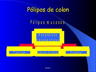 Pólipos de colon 