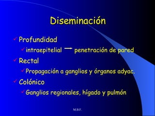 Diseminación Profundidad intraepitelial  penetración de pared Rectal Propagación a ganglios y órganos adyac. Colónico Ganglios regionales, hígado y pulmón 