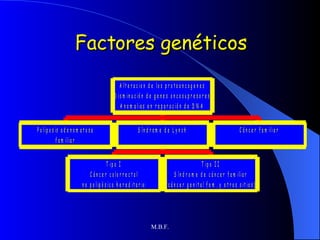 Factores genéticos 
