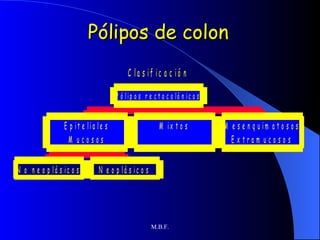 Pólipos de colon 