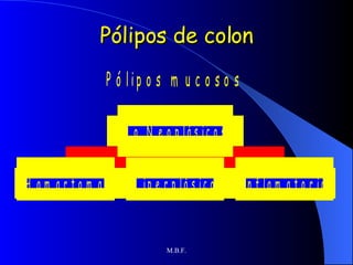 Pólipos de colon 