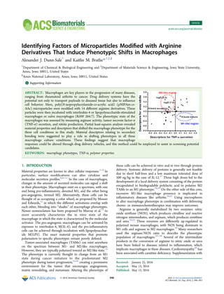Identifying Factors of Microparticles Modiﬁed with Arginine
Derivatives That Induce Phenotypic Shifts in Macrophages
Alexander J. Dunn-Sale†
and Kaitlin M. Bratlie*,†,‡,§
†
Department of Chemical & Biological Engineering and ‡
Department of Materials Science & Engineering, Iowa State University,
Ames, Iowa 50011, United States
§
Ames National Laboratory, Ames, Iowa 50011, United States
*S Supporting Information
ABSTRACT: Macrophages are key players in the progression of many diseases,
ranging from rheumatoid arthritis to cancer. Drug delivery systems have the
potential not only to transport payloads to diseased tissue but also to inﬂuence
cell behavior. Here, poly(N-isopropylacrylamide-co-acrylic acid) (pNIPAm-co-
AAc) microparticles were modiﬁed with 14 diﬀerent arginine derivatives. These
particles were then incubated with interleukin-4 or lipopolysaccharide-stimulated
macrophages or naïve macrophages (RAW 264.7). The phenotypic state of the
macrophages was assessed by measuring arginase activity, tumor necrosis factor-α
(TNF-α) secretion, and nitrite production. Partial least-squares analysis revealed
material properties and descriptors that shifted the macrophage phenotype for the
three cell conditions in this study. Material descriptors relating to secondary
bonding were suggested to play a role in shifting phenotypes in all three
macrophage culture conditions. These ﬁndings suggest that macrophage
responses could be altered through drug delivery vehicles, and this method could be employed to assist in screening potential
candidates.
KEYWORDS: macrophage phenotypes, TNF-α, polymer properties
1. INTRODUCTION
Material properties are known to alter cellular responses.1−8
In
particular, surface modiﬁcations can alter cytokine and
molecular secretion proﬁles.6,8−11
In the case of macrophages,
changes in the amount of secreted molecules can signal a shift
in their phenotype. Macrophages exist on a spectrum, with one
end being pro-inﬂammatory, denoted M1, and the other being
pro-angiogenic, termed M2. Alternatively, these cells can be
thought of as occupying a color wheel, as proposed by Mosser
and Edwards,12
in which the diﬀerent activations overlap with
each other, blending into “shades” of macrophage phenotypes.
Newer nomenclature has been proposed by Murray et al.13
to
more accurately characterize the in vitro state of the
macrophage in which the state is characterized by the molecular
activator. The pro-angiogenic macrophages can be activated by
exposure to interleukin-4, M(IL-4), and the pro-inﬂammatory
cells can be achieved through incubation with lipopolysacchar-
ide M(LPS). The exact material properties that promote
polarization to speciﬁc phenotypes remain poorly deﬁned.
Tumor-associated macrophages (TAMs) can exist anywhere
on the spectrum between M1- and M2-like macrophages.
However, they are typically polarized toward an M2-like state.14
The phenotype is currently thought to change from an M1
state during cancer initiation to the predominant M2
phenotype during tumor progression,15,16
creating a permissive
environment for the tumor that encourages angiogenesis,
matrix remodeling, and metastasis. Altering the phenotype of
these cells can be achieved in vitro and in vivo through protein
delivery. Systemic delivery of proteins is generally not feasible
due to short half-lives and a low maximum tolerated dose of
500 ng/kg in the case of IL-12.17
These high doses led to the
development of a local delivery system consisting of the protein
encapsulated in biodegradable polylactic acid to polarize M2
TAMs to an M1 phenotype.18,19
On the other side of this coin,
excessive M1-like macrophage presence is implicated in
inﬂammatory diseases like arthritis.20,21
Using microspheres
to alter macrophage phenotype in combination with delivering
chemo- or immunochemotherapies may improve outcomes.
Arginine is generally metabolized by two enzymes: nitric
oxide synthase (NOS), which produces citrulline and reactive
nitrogen intermediates, and arginase, which produces ornithine
and urea.22,23
These enzymes are diﬀerently up-regulated in
polarized mouse macrophages, with NOS being dominant in
M1 cells and arginase in M2 macrophages.24
Many researchers
used the arginase/NOS ratio to describe the phenotypic
population of macrophages.25−28
Several of the intermediate
products in the conversion of arginine to nitric oxide or urea
have been linked to diseases related to inﬂammation, which
implicate macrophages in these diseases. Cardiomyopathy29
has
been associated with carnitine deﬁciency. Supplementation with
Received: January 22, 2016
Accepted: May 13, 2016
Published: May 13, 2016
Article
pubs.acs.org/journal/abseba
© 2016 American Chemical Society 946 DOI: 10.1021/acsbiomaterials.6b00041
ACS Biomater. Sci. Eng. 2016, 2, 946−953
 