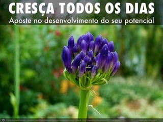 Photo by kylewagaman - Creative Commons Attribution-NonCommercial-ShareAlike License https://www.flickr.com/photos/59073208@N08 Created with Haiku Deck
 