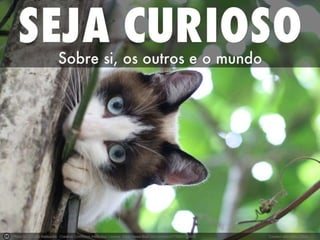 Photo by Claudio Matsuoka - Creative Commons Attribution License https://www.flickr.com/photos/27750641@N08 Created with Haiku Deck
 