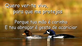 Quero ver-te vivo,Quero ver-te vivo,
para que me protejaspara que me protejas
.
.
Porque tua mão é carinhoPorque tua mão é carinho
E teu abraçar é gesto de acariciarE teu abraçar é gesto de acariciar
.
 