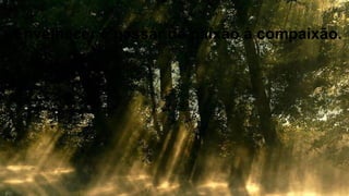 Envelhecer é passar da paixão à compaixão.
 