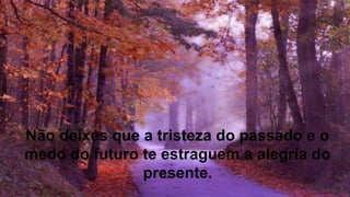 Não deixes que a tristeza do passado e o
medo do futuro te estraguem a alegria do
presente.
 