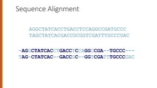 Sequence Alignment
-AGGCTATCACCTGACCTCCAGGCCGA--TGCCC---
TAG-CTATCAC--GACCGC--GGTCGATTTGCCCGAC
AGGCTATCACCTGACCTCCAGGCCGATGCCC
TAGCTATCACGACCGCGGTCGATTTGCCCGAC
 
