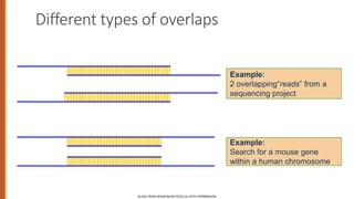Different types of overlaps
SLIDE FROM SERAFIM BATZOGLOU WITH PERMISSION
Example:
2 overlapping“reads” from a
sequencing project
Example:
Search for a mouse gene
within a human chromosome
 