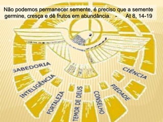 Não podemos permanecer semente, é preciso que a semente
germine, cresça e dê frutos em abundância. - At 8, 14-19
 