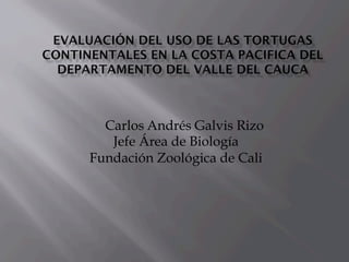 Carlos Andrés Galvis Rizo
   Jefe Área de Biología
Fundación Zoológica de Cali
 