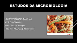 ESTUDOS DA MICROBIOLOGIA
 BACTERIOLOGIA (Bactérias)
 VIROLOGIA (Vírus)
 MICOLOGIA (Fungos)
 PARASITOLOGIA (Protozoários)
 