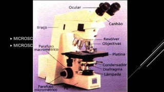 FERRAMENTAS DA
MICROBIOLOGIA
 MICROSCÓPIO ÓPTICO
 MICROSCÓPIO ELETRÔNICO
 