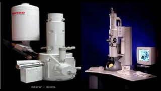 FERRAMENTAS DA
MICROBIOLOGIA
 MICROSCÓPIO ÓPTICO
 MICROSCÓPIO ELETRÔNICO
 