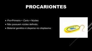 PROCARIONTES
 Pro=Primeiro + Cario = Núcleo
 Não possuem núcleo definido;
 Material genético é disperso no citoplasma;
 