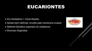 EUCARIONTES
 Eu=Verdadeiro + Cario=Núcleo
 Núcleo bem definido, envolto pela membrana nuclear
 Material Genético separado do citoplasma
 Diversas Organelas
 