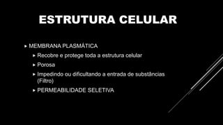 ESTRUTURA CELULAR
 MEMBRANA PLASMÁTICA
 Recobre e protege toda a estrutura celular
 Porosa
 Impedindo ou dificultando a entrada de substâncias
(Filtro)
 PERMEABILIDADE SELETIVA
 