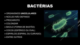 BACTÉRIAS
 ORGANISMOS UNICELULARES
 NÚCLEO NÃO DEFINIDO
 PROCARIOTO
 COLONIZAR
 BACILO (FORMA DE BASTÃO)
 COCOS (ESFÉRICO OU OVAL)
 ESPIRILOS (ESPIRAL OU CURVADO)
 ENTRE OUTROS
 