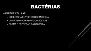 BACTÉRIAS
 PAREDE CELULAR
 COBERTURA/ENVOLTÓRIO SEMIRÍGIDA
 COMPOSTO POR PEPTÍDIOGLICANOS
 FORMA E PROTEÇÃO DA BACTÉRIA
 