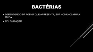 BACTÉRIAS
 DEPENDENDO DA FORMA QUE APRESENTA, SUA NOMENCLATURA
MUDA
 COLONIZAÇÃO
 