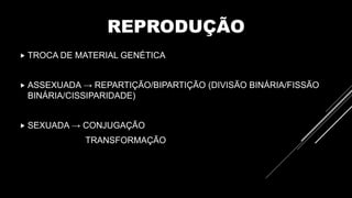 REPRODUÇÃO
 TROCA DE MATERIAL GENÉTICA
 ASSEXUADA → REPARTIÇÃO/BIPARTIÇÃO (DIVISÃO BINÁRIA/FISSÃO
BINÁRIA/CISSIPARIDADE)
 SEXUADA → CONJUGAÇÃO
TRANSFORMAÇÃO
 
